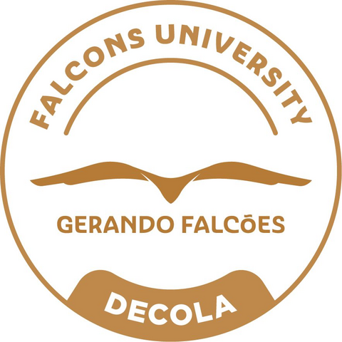 Falcons University Decola, da Gerando Falcões